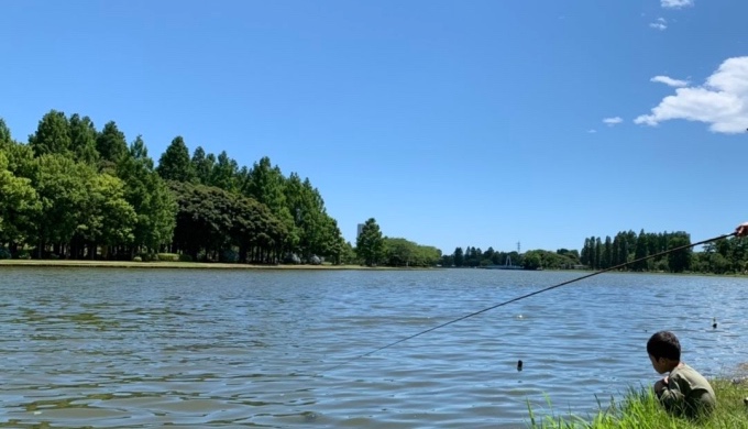 水元公園でテナガエビ釣り くまの助の子育てブログ
